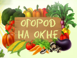Посадили огород Посадили огород.